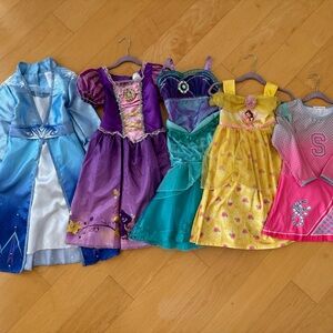 Disney Princess Dresses Collection